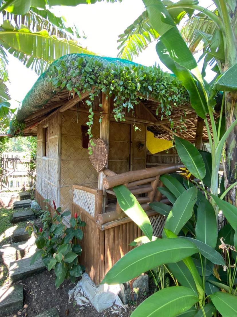 Dupas Luce Love Lodges Talipan Exterior foto